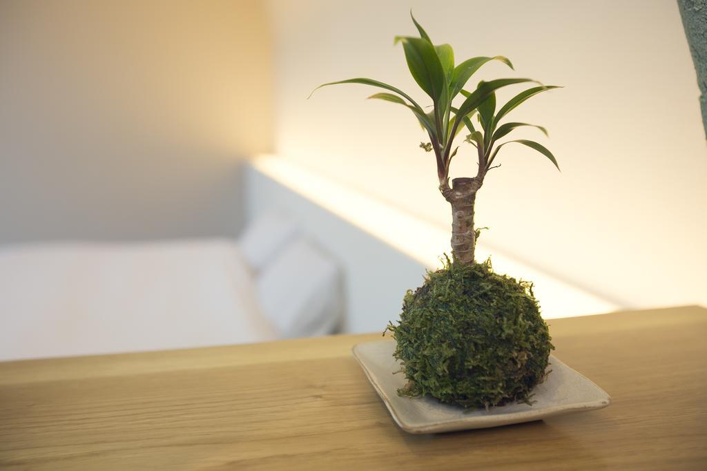 Ryokan Mokuzin Hakuba Zimmer foto
